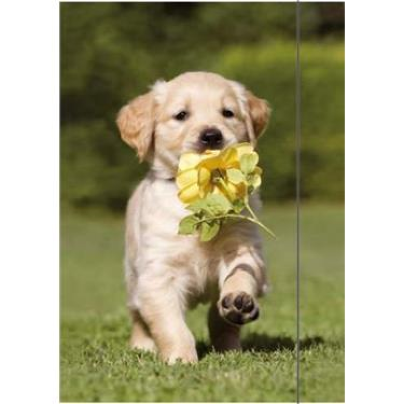 TEKENMAP RNK VERLAG A3